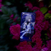 Vio1et5210 - 花之舞 (纯享版)