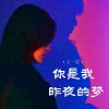 王一佳 - 你是我昨夜的梦