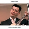 Sal Salvador - Delighted