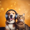 The Calm Music Crew、PET CALM、Ultimate Pet Calm - Relaxing Fetch Tunes