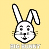 Big Bunny - Came to the Underground (Dub Mix)