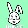Big Bunny - Super Boom (Original Mix)