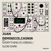 Juan Deminicis、Casnik - Everything Is Vibing