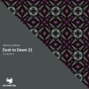 Adrian Y - The Loon