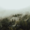 Lo Amber - Reserve