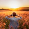 Océanos y Océanos、Quietud profunda、Streaming en calma - Vibraciones Suaves De Guitarra