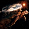 Mazzi - Gravity Isn't Real