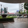 postmasa - Citrus RAIN