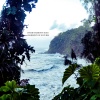 The Nowhows - Inner Harmony Hues (Harmony in Nature)