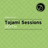 Tojami Sessions - Depth (Original Mix)