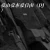 冯光 - 爱山爱水爱自由 (DJ版)