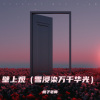 桃子老师 - 壁上观 (雪浸染万千华光)