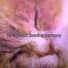 Spa & Spa - Clearing The Mind
