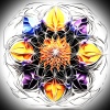 Mazzi - Petals (Remix)