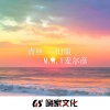 M.R.Y麦尔彦 - 青丝 (DJ车载版)