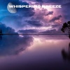 Ruído branco、Música De Relajación Para Dormir Profundamente、Musica relajante dormir - Whispering Winds (Loopable, No Fade)