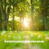 The White Noise Zen & Meditation Sound Lab、Green Noise Therapeutics、White Noise for Deeper Sleep - Ethereal Harmony (Loopable, No Fade)