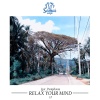 Igor Pumphonia - Relax Your Mind