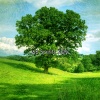 Music for Reading - Desire For Calm