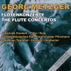 Sebastian Tewinkel、südwestdeutsches kammerorchester pforzheim、Johannes Hustedt、Georg Metzger - Concerto VIII op. 7 in F Major: I. Allegro