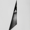 AV/A7 - She Knows