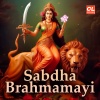Vinod Krishnan - Sabdha Bhramamayi