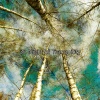 Sleepy Night Music - Fantasy Of Sleep