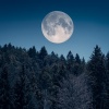 Espíritus de nuestros sueños、Reposo del alma serena、Asistente de reposo para seres - Los Susurros Iluminados Por La Luna Arrullan La Noche
