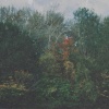 Adam Taylor - Heart '32