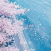 暴躁默 - 樱花树下的约定·2024