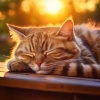 Las barbas son mejores、Música para Relajar Gatitos、Lista de Reproducción para Gatos - Melodías Tranquilas Para La Comodidad Del Gato