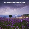 Ruído branco、Música De Relajación Para Dormir Profundamente、Musica relajante dormir - Breeze's Silent Whispers (Loopable, No Fade)