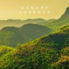 Lluvia del Bosque - Canopy Cadence