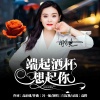 闫辽艳 - 端起酒杯想起你 (DJ广场舞版)