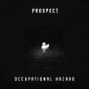 prospect - Occupational Hazard (Explicit)