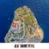 达文西 - 你只能离开了