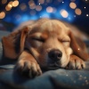 Recarga de la Tarde、Jazz para perros、Musica para Perros Clásico - Armonías Relajantes Para El Perro