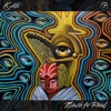 Kabi - Introspectis