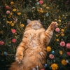 Cena Música Chillout、Música Ambiental para Gatos、Música Calmante para Felinos - Flujo Armonioso De Yoga