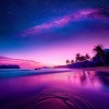 Grabaciones de transmisiones externas、Ruidos de la Naturaleza、Sonidos ambientales de la naturaleza - Momentos Tranquilos Y Reflexivos