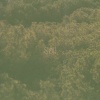 Hamdar - Soil