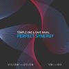 Temple One、Dave Raval - Perfect Synergy