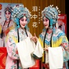王敏、祖丽、强金香 - 并告到公堂