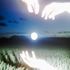 Florence Beverly - Wandering Light
