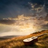 The Music Guitar、Positive Music Universe、Relaxing Jazz Guitar Academy - Breezy Leaf Harmony