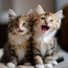 Some Relaxing Music for Cats、Music For Cats Peace、Cats Music Zone - Purple Ocean