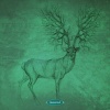 Roland De Saint - Transducer