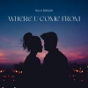 Hulk Briggs - Where You Come From