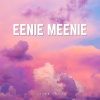 Twins Project - Eenie Meenie
