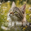 BS 스트레스 해소 음악치료 - 조용한 재미